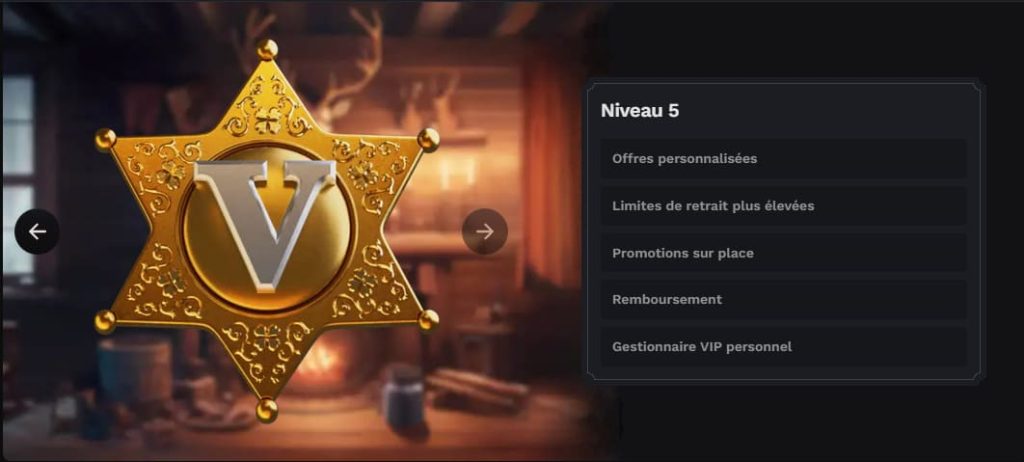 programme vip wildsino casino